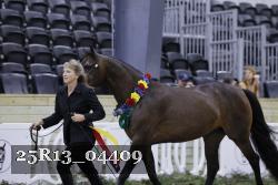25R13_04409 thumbnail