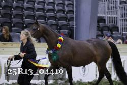 25R13_04410 thumbnail