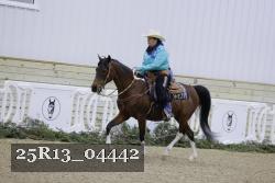 25R13_04442 thumbnail