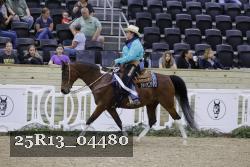 25R13_04480 thumbnail