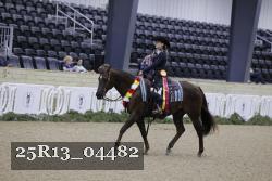25R13_04482 thumbnail