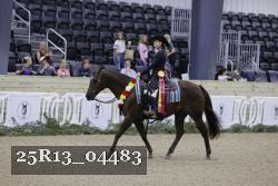 25R13_04483 thumbnail