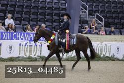25R13_04485 thumbnail