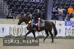 25R13_04486 thumbnail