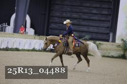 25R13_04488 thumbnail