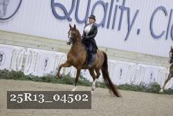 25R13_04502 thumbnail