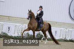25R13_04505 thumbnail
