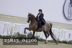 25R13_04506 thumbnail