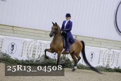 25R13_04508 thumbnail