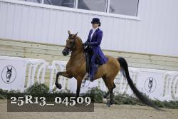 25R13_04509 thumbnail