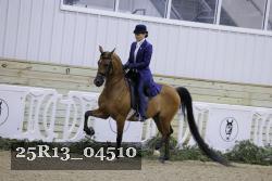 25R13_04510 thumbnail