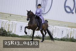 25R13_04513 thumbnail