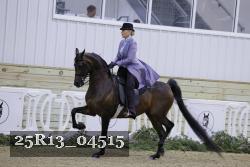 25R13_04515 thumbnail