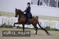 25R13_04519 thumbnail