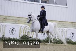 25R13_04520 thumbnail