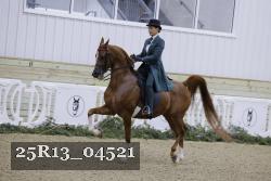 25R13_04521 thumbnail