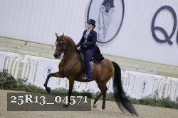 25R13_04571 thumbnail