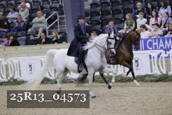 25R13_04573 thumbnail