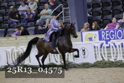 25R13_04575 thumbnail