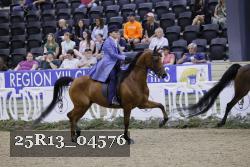25R13_04576 thumbnail