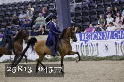 25R13_04577 thumbnail