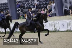 25R13_04578 thumbnail
