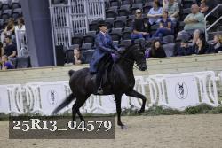 25R13_04579 thumbnail