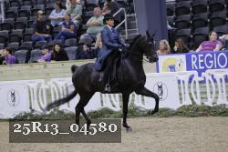 25R13_04580 thumbnail
