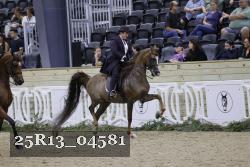 25R13_04581 thumbnail