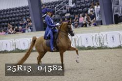 25R13_04582 thumbnail