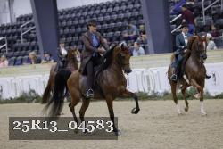 25R13_04583 thumbnail