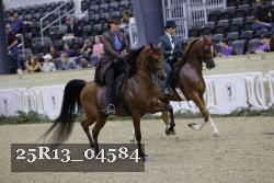 25R13_04584 thumbnail