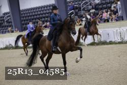 25R13_04585 thumbnail