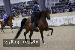 25R13_04586 thumbnail