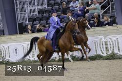 25R13_04587 thumbnail