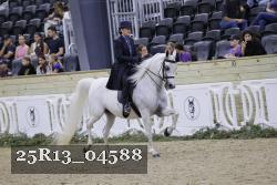 25R13_04588 thumbnail