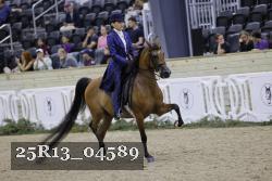 25R13_04589 thumbnail