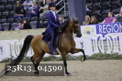 25R13_04590 thumbnail