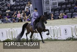 25R13_04591 thumbnail