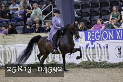 25R13_04592 thumbnail