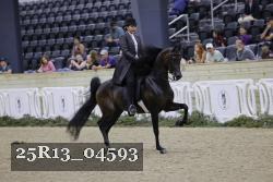 25R13_04593 thumbnail