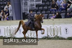 25R13_04595 thumbnail