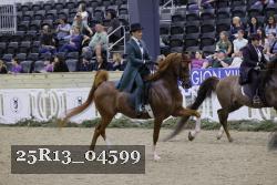 25R13_04599 thumbnail
