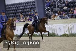 25R13_04600 thumbnail