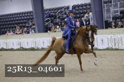 25R13_04601 thumbnail