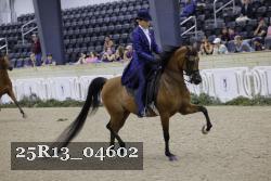 25R13_04602 thumbnail