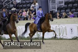 25R13_04603 thumbnail