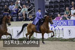 25R13_04604 thumbnail