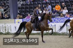 25R13_04605 thumbnail