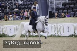 25R13_04606 thumbnail